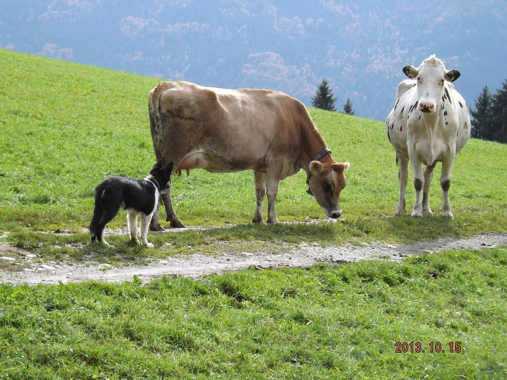Erlebnishof Schiman